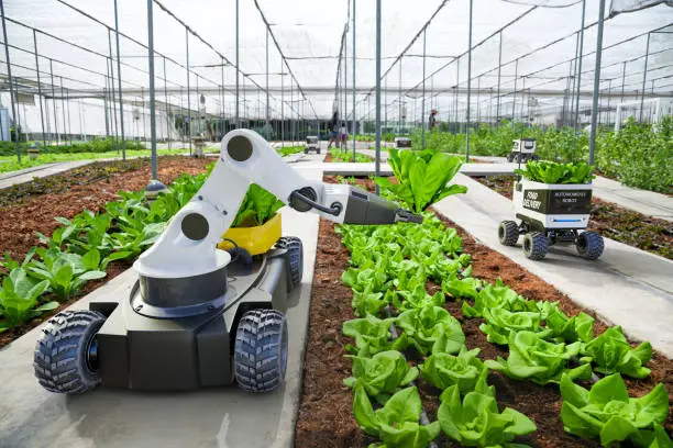 Photo of Agriculture robotic and autonomous car working in smart farm, Future 5G technology with smart agriculture farming concept