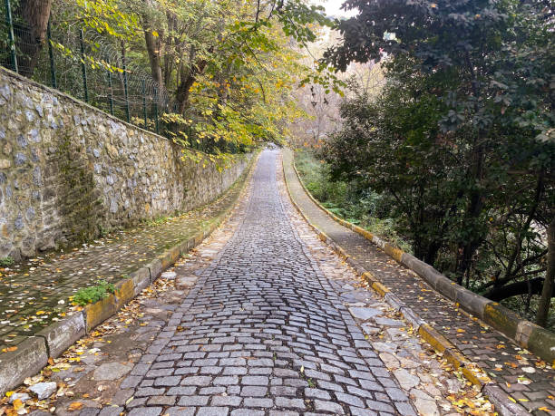 Cobblestone road view in Autumn