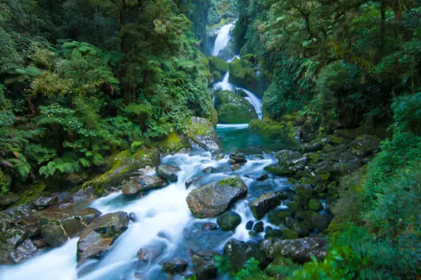 Mackay Falls, wild rainforest cascade waterfall, Milford Track Great walk, Fiordland, New Zealand