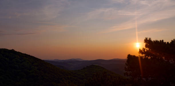 Scenic view of a landscape during sunset Vienna Woods, Vienna Woods vienna woods stock pictures, royalty-free photos & images