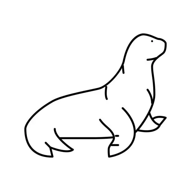 Vector illustration of sea lion line icon vector illustration