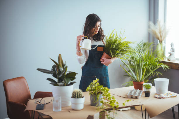 istock Woman caring for house plant 1382288923