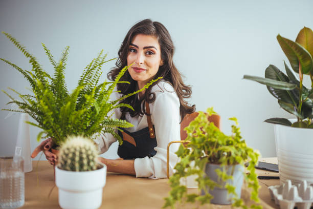 istock Growing plants at home. 1382289476