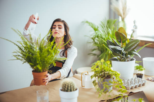 istock Growing plants at home. 1382289477