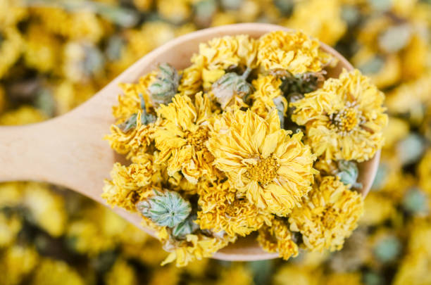 istock Dried Chrysanthemum tea in wooden spoon. 1382290670
