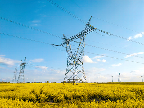 Electric pole in the rape field background on blue sky