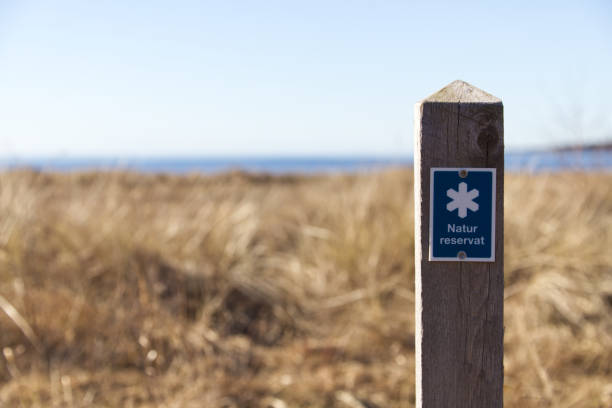 wooden sign in nature at the beginning of a path