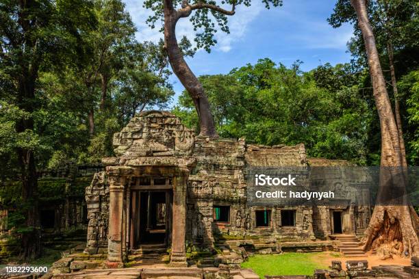 Ta Prohm Temple Near Angkor Wat Cambodia Stock Photo - Download Image Now - Angkor Wat, Cambodia, Angkor Thom