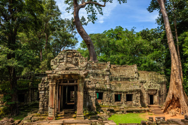 ta prohm temple near angkor wat, cambodia - angkor wat buddhism cambodia tourism imagens e fotografias de stock