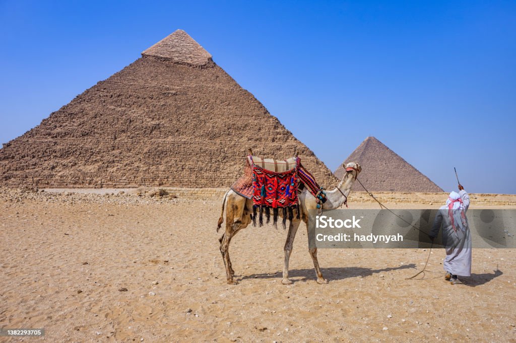 Bedouin and the pyramid, Giza, Egypt Bedouin walking with camel, pyramids on the background, Giza, Egypt. Kheops Pyramid Stock Photo