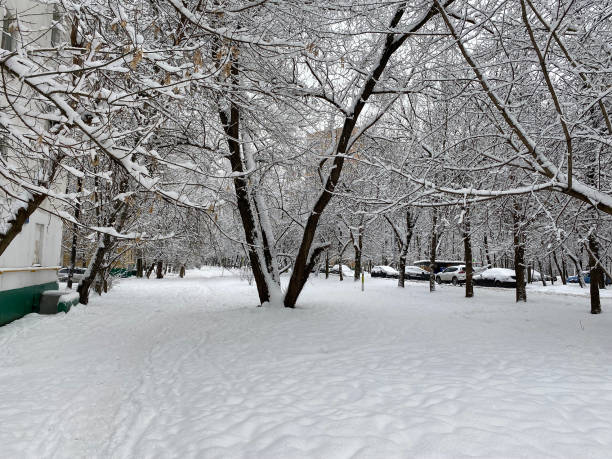 istock winter in city yard at cloudy day after snowfall 1382300788