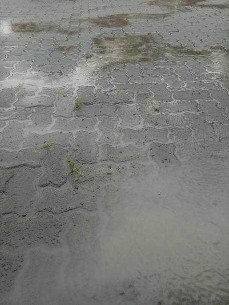 istock The wet brick paving road 1382302591