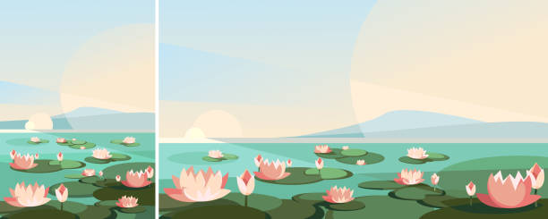 landschaft mit lotusblumen am fluss. - lily pad bloom stock-grafiken, -clipart, -cartoons und -symbole