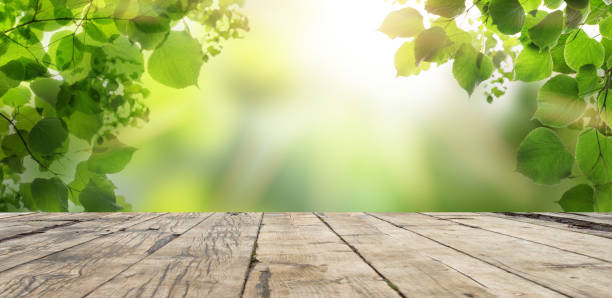 istock Empty wooden table with blurred city park on banner background 1382317040
