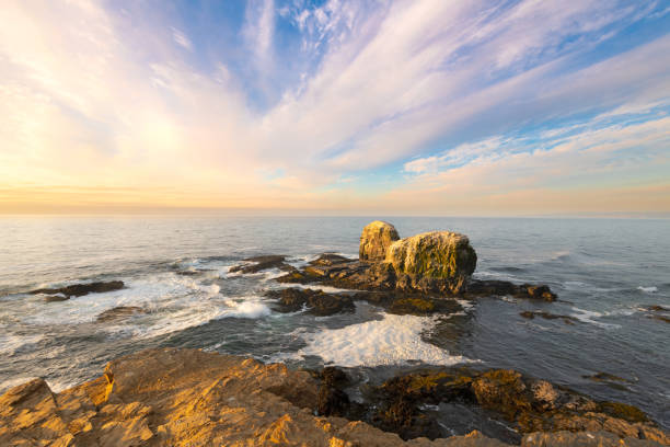 istock Punta de Lobos in Pichilemu 1382329205