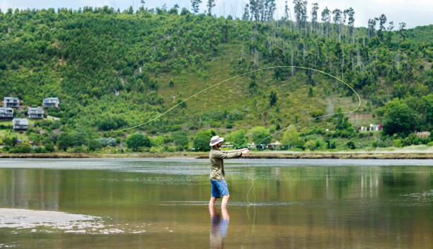 homme pêche à la mouche en rivière le jour de l’été - wading vertical water sport recreational pursuit photos et images de collection