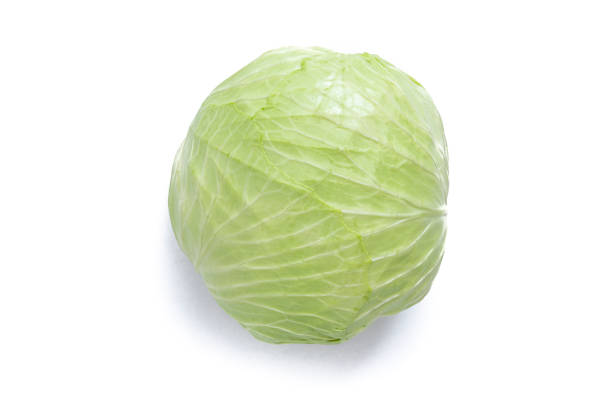 chou vert ou chou blanc crucifère cru feuilles de légumes gros plan isolé sur blanc - green cabbage photos et images de collection