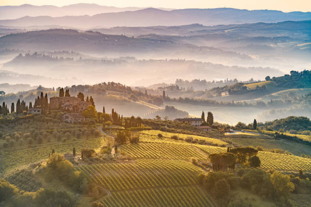 mañana con niebla en toscana, san gimignano, provincia de siena, italia - house landscaped beauty in nature horizon over land fotografías e imágenes de stock