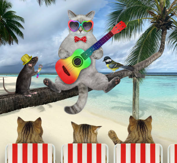 istock Cat ashen with guitar on palm tree 1382336322