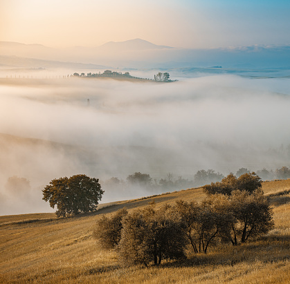 Foggy morning landscape of Tuscany