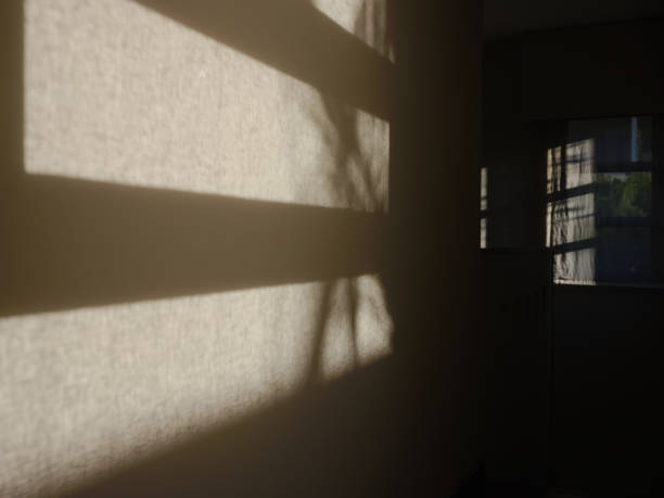 Color patterns made by the shadow of the tree through the window. (Madagascar, Africa)