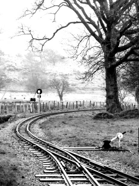 A curve in a section of the Narrow Ravenglass and Eskddale Railway in the Lake District in Black and White stock photo