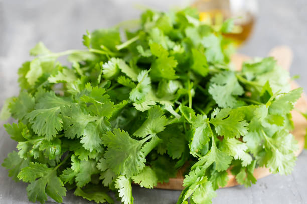 green coriander on wooden board with knife - coriander seed fotos imagens e fotografias de stock