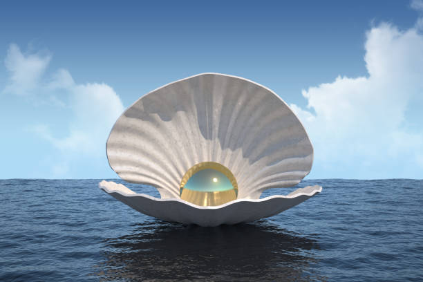 shell with a golden pearl on the surface of the water shell with a golden pearl on the surface of the water. 3d rendering clam animal stock pictures, royalty-free photos & images