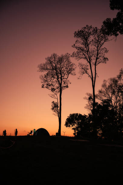 Silhouette tree and tent on mountain peak in the evening on viewpoint