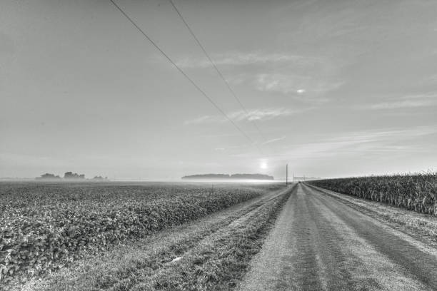 istock Country Road with crop fields-Howard County, Indiana 1382358656