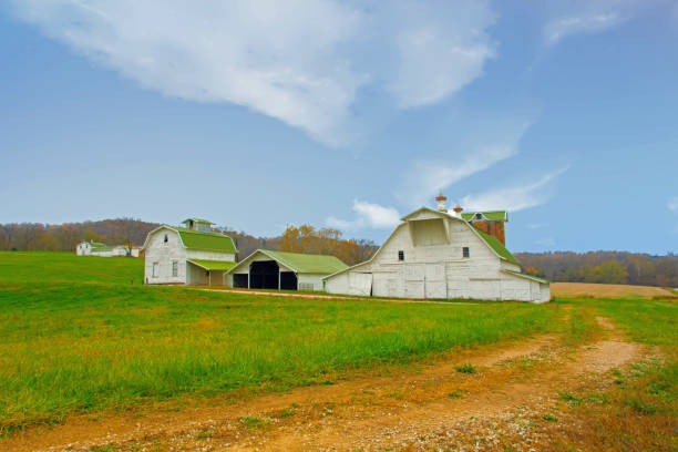 istock Old Barn with outbuildings-Southern Indiana 1382359904
