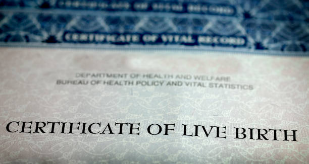 istock Birth Certificate Form Paper Official Baby Born 1382371833