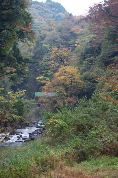 istock Landscape of Oita prefecture 1382371862