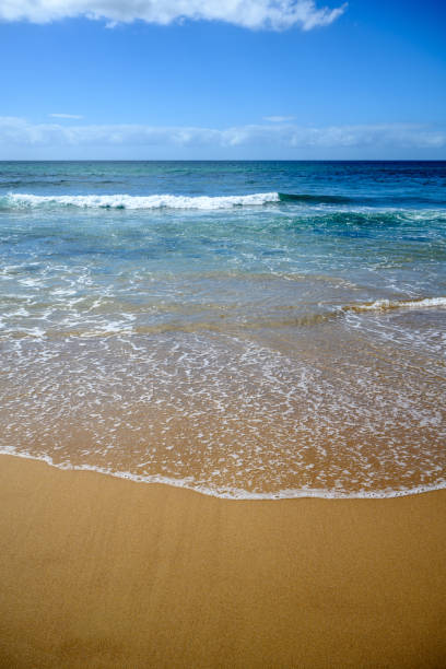istock Beach view of the Pacific Ocean 1382373195