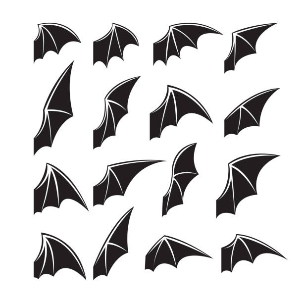 ilustrações de stock, clip art, desenhos animados e ícones de bat wings - bat animal flying mammal