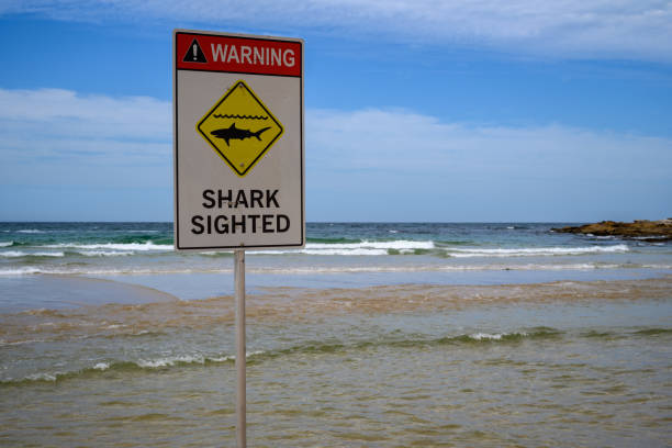 Sign warning of Sharks