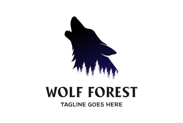 vintage retro heulende wolf silhouette mit kiefer zeder immergrüne tannen bäume wald symbol design vector - wolf stock-grafiken, -clipart, -cartoons und -symbole