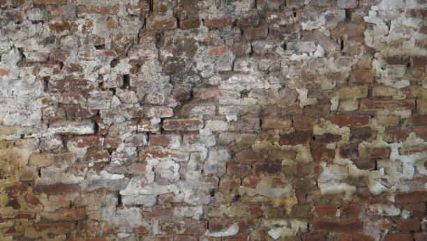 istock rough wall texture background collection. 3d textured background for interior, decoration, wallpaper, etc. 1382375932