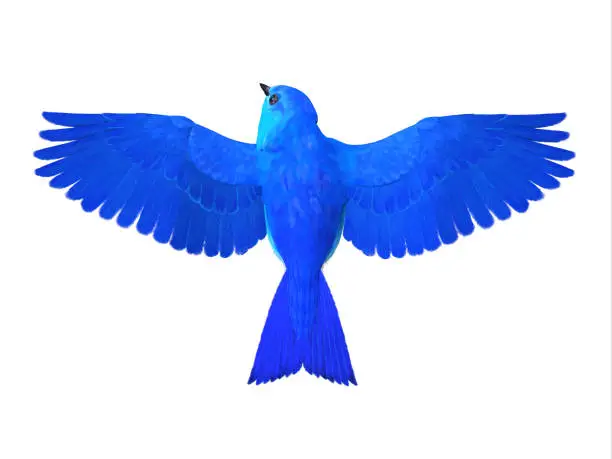 The Bluebird of Happiness is a symbol of joy and looking forward to better times in the future.