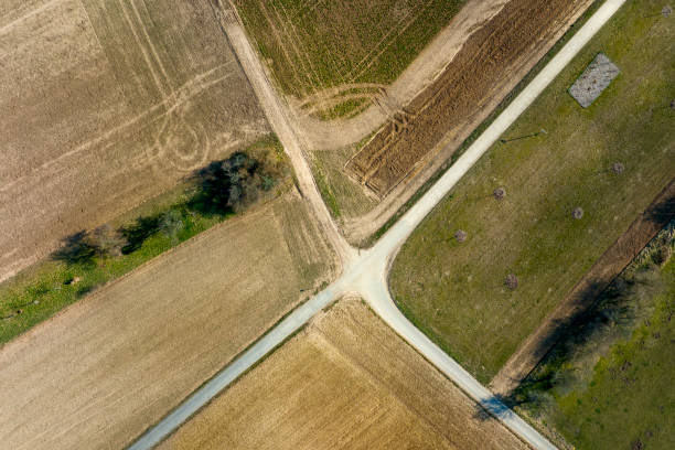 istock Abstract agricultural field in spring - aerial view 1382381126