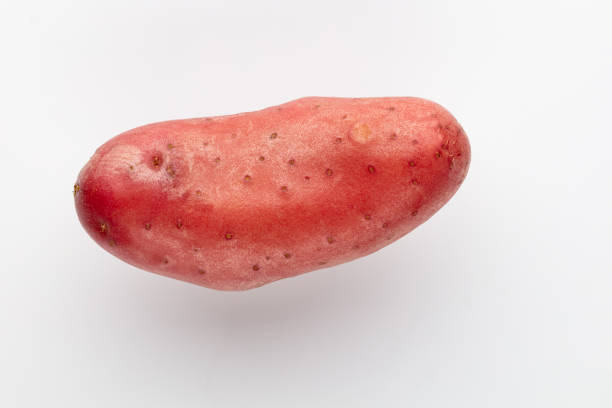 Raw peeled potato - white background