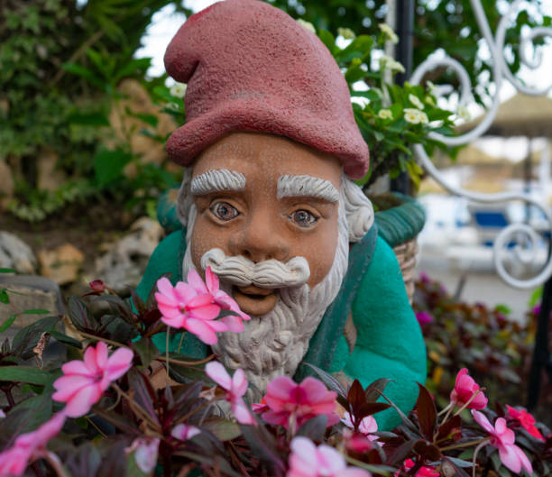 A squared portrait view of a cute and proud garden gnome, with a red cone hat and a white beard, isolated on white. Ideal for conveying any luck / gardening related concept.