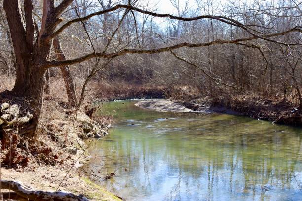 istock Peaceful Flowing Creek 1382383058