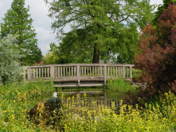 istock summer time in a beautifull garden in germany 1382383103