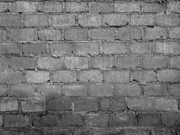 rough wall texture background collection. damaged mossy wall surface in panorama. 3d textured background for interior, decoration, wallpaper, etc.