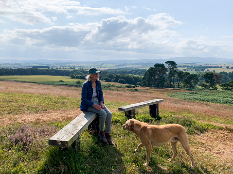 A senior woman sitting on a wooden bench in nature with the rolling landscape behind her in Northumberland. Her pet dog labrador is walking towards her.