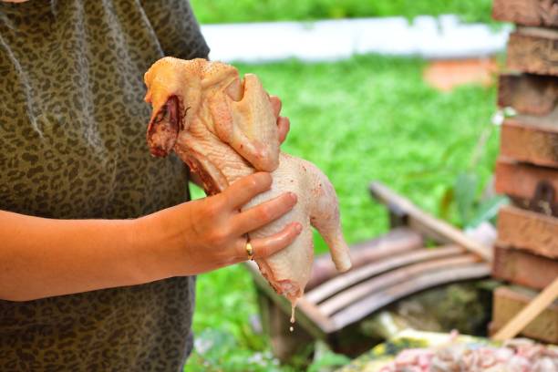istock Slicing chicken into pieces and rinsing with water 1382383804