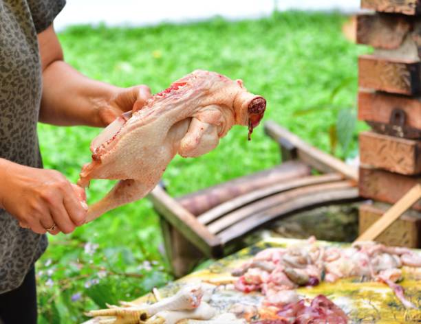 istock Slicing chicken into pieces and rinsing with water 1382383817