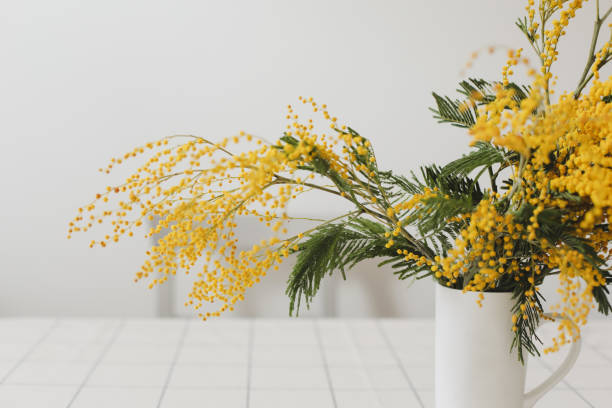 istock Spring flowers composition. Yellow mimosa flowers on white background in home interior 1382384068