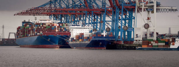 istock Container terminal in the port of Hamburg with large container ships 1382385314
